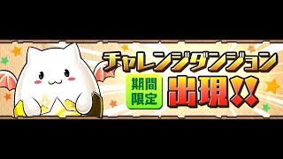 チャレンジダンジョン！(特殊)Lv10覚醒ラーPTノーコンクリア