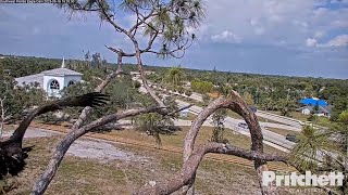 E22 flew to the nest with a fish / 16:03 / 2023-05-16 / Southwest Florida Eagle Cam - Cam 1