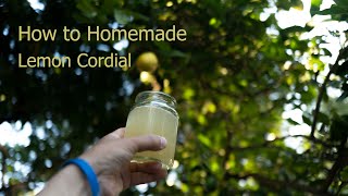 Make Lemon Cordial in Australia / And DIY a useless fruit picker