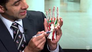 Mayo Clinic Minute: What is carpal tunnel syndrome?