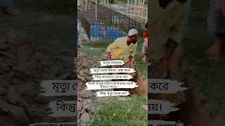 অথচ মানুষ চাইলে জাহান্নাম থেকে বাঁচতে পারে। কিন্তু  মৃত্যু থেকে নয়। 😭#shortsfeed #islamicmessages