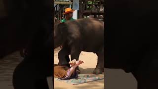 elephant Massage