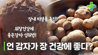 위장 건강, 소화에 도움되는 특별한 감자?