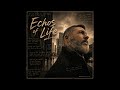 John cotter - Echos of Life