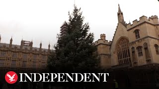 Parliament Christmas tree arrives in London