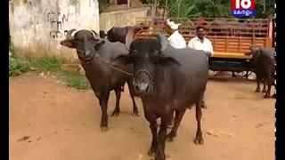 കന്നുകാലി വിൽപ്പന നിരോധനത്തിൽ ആശങ്കയിലായി ആറാലുംമൂട് ചന്ത