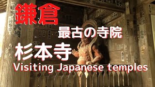 【鎌倉寺巡り　杉本寺】最古の寺院　杉本寺、苔の石段や、運慶作と言われている仁王門、杉本寺は見どころ満載です。