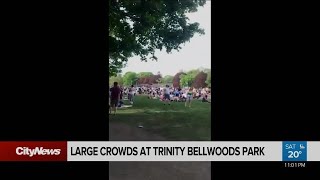 'Dangerous and selfish:' massive crowd gathers at Trinity Bellwoods