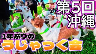 第5回【沖縄】うじゃっく会‼️1年ぶりだよ大集合💨