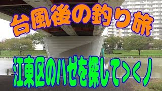 釣り動画ロマンを求めて 番外編（台風後の釣り旅：江東区のハゼを探して）