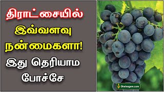 திராட்சை பயன்கள் | Grapes benefits in Tamil | Grapes payangal | Grapes nanmaigal | Thiratchai