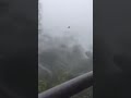 Signal No. 10 in Hongkong (strongest typhoon to hit hongkong this year)