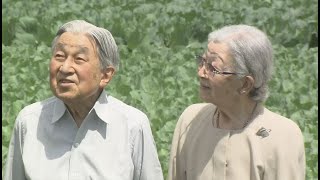 手をつなぎながらキャベツ畑散策　上皇ご夫妻　大日向開拓地を訪問　声をかけた農家「来てくれてうれしい」