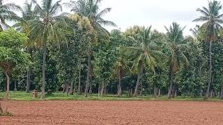 land for sale in Koratagere taluk