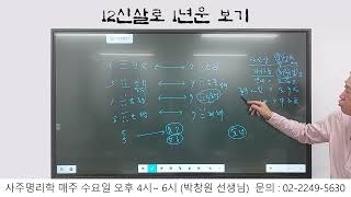 [대유학당] 박창원 선생님의 12신살로 1년운 보기