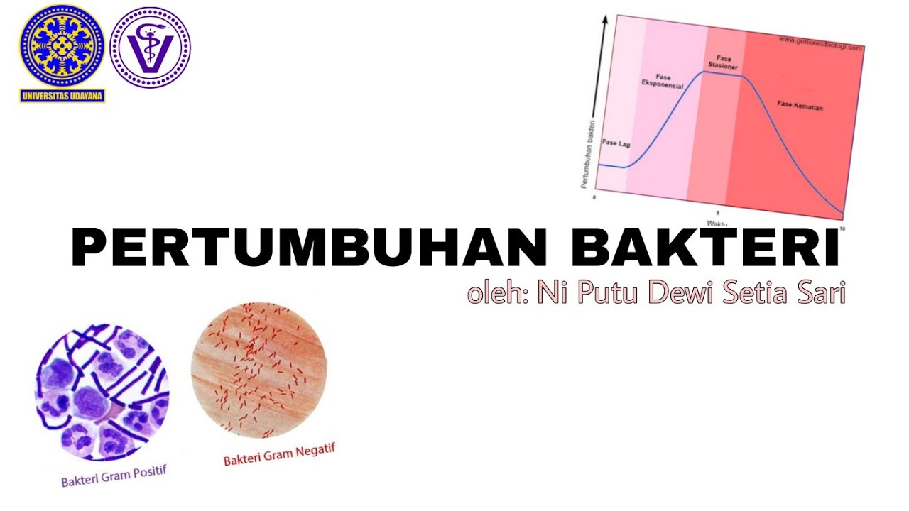 PERTUMBUHAN BAKTERI - YouTube