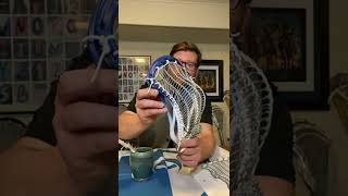 Anatomy 201. Stringing Study Guide