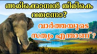 അരിക്കൊമ്പൻ ചിന്നക്കനാലിലേക്ക് തിരിച്ചെത്തുന്നുവോ ?arikomban | arikomban latest news #arikomban