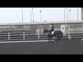 Julie Arnup Dressage Anywhere June 2012 (Elementary)