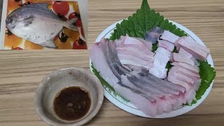 Silver pomfret まなかつお Sashimi, Load to Sashimi - 6    (#managatsuo #butterfish #avolifish)