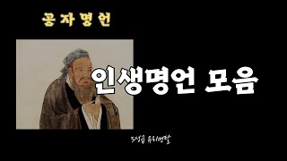 공자의 인생을 밝히는 지혜로운 명언 모음 #동기부여 #명언 #성공#인간관계 #불교