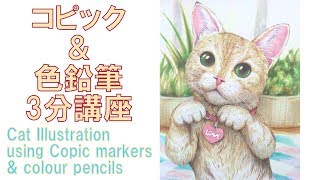 【猫イラスト】3分でわかるコピック＆色鉛筆　Copic Illustration of a cat  Time lapse 【早回しねこ描き方講座。可愛いネコイラストを描こう】By Atelier K