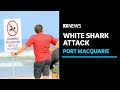 Man in serious condition after being bitten by white shark | ABC News