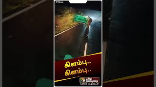 பேருந்தை Reverse Gear போட வைத்த யானை | #shorts | #elephant | #timbam