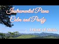 Soothing Music to Calm and Pacify / 1 Hour of Instrumental Piano