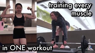TRAINING EVERY MUSCLE IN 1 WORKOUT | my favorite exercise for every muscle (bodybuilding day)