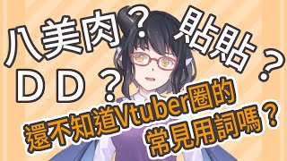 【台灣Vtuber】八美肉是什麼？貼貼是什麼？—Vtuber圈常用語【龍妹想知道】