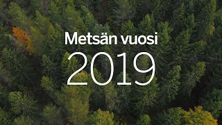 Metsän vuosi 2019