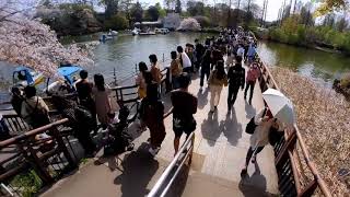 Insta360 GO2 Proモード動画で井の頭公園を歩いただけ編