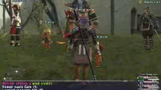 FFXI Speed Leveling LV 37+ 25K/Hour