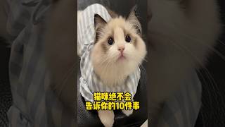 猫咪绝不会告诉你的10件事  #科学养宠攻略 #萌宠百科