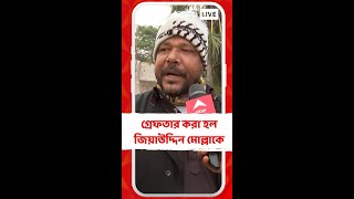 গ্রেফতার করা হল জিয়াউদ্দিন মোল্লাকে