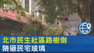 北市民生社區路樹倒 險砸民宅玻璃｜TVBS新聞 @internationalNewsplus