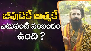 జీవుడికీ ఆత్మకీ ఎటువంటి సంబందం ఉంది | Sri Swamy Siddhayogeeswara Yogi | Sree Sannidhi TV