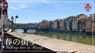 【街歩き】【Firenze】2024最新版🇮🇹春のフィレンツェを歩く🍀🦜~Walking tour in Firenze~