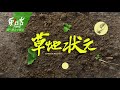 草地狀元 白金傳奇vs植物工廠達人搶先看 20180730播出