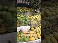 mango variety at lulu mall hypermarket shubhangigupta lulu lulumall lucknow mango hapus