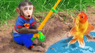 Baby Monkey Chu Chu Goes Fishing By The Stream And Eats Fruit With Puppies In Garden