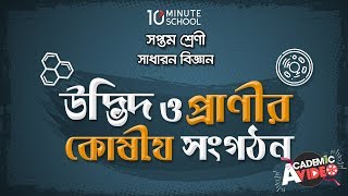 ০২.০১. অধ্যায় ২ : উদ্ভিদ ও প্রাণির কোষীয় সংগঠন - উদ্ভিদ কোষ (Plant Cell) [Class 7]