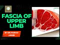 Fascia Of Upper Limb