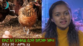 የዶሮ እና እንቁላል ስጋት ዋጋው ነበር። ቀን ከሌት ኮሜዲ ቶክሾው ሐምሌ 23 ken kelet comedy talk show July