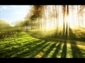 10 Hours Relaxing Music For Stress Relief Relaxation Music Therapy For Stress Relief Healing