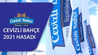 Cevizli Bahçe Trakya 2021 Hasadı