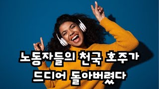 호주 연락금지법 과연 독일까? 약일까? 요리사의 입장을 말해보자.