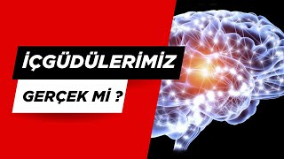 (6.His) Sezgilerimize ne kadar Güvenmeliyiz ? Beynimizin Gizli Gücü