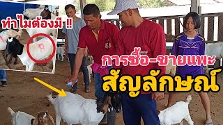 มาดู!ซื้อ-ขายแพะ สัญลักษณ์นี้ มีความหมายว่าอะไร?  EP.46